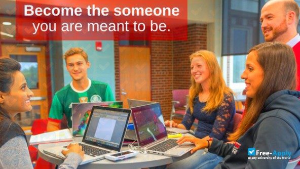 Foto de la Saint Francis University #4