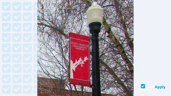Foto de la Saint Francis University #2