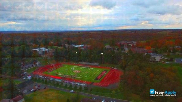 Foto de la Saint Francis University #13