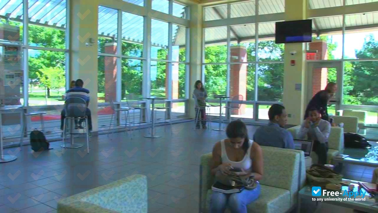 SUNY Old Westbury photo #6
