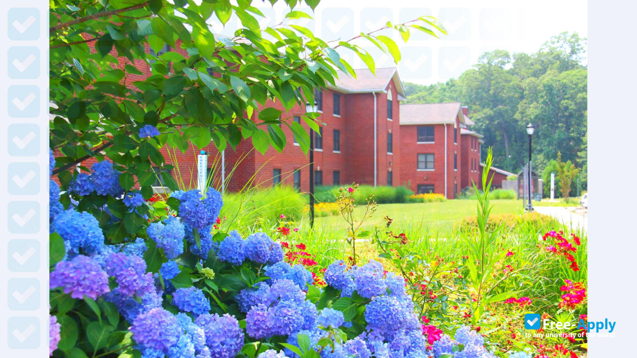 SUNY Old Westbury photo #5