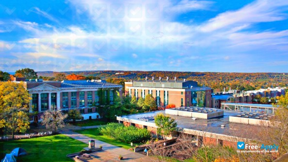 State University of New York College of Environmental Science and Forestry photo