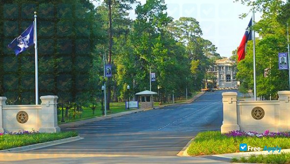 Stephen F. Austin State University фотография №8