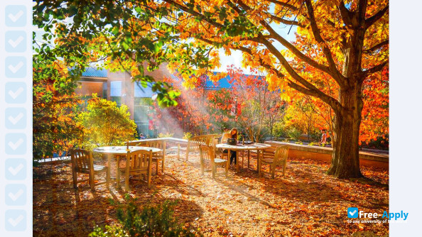 St. John's University photo #14