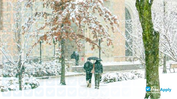 St. John's University photo #5
