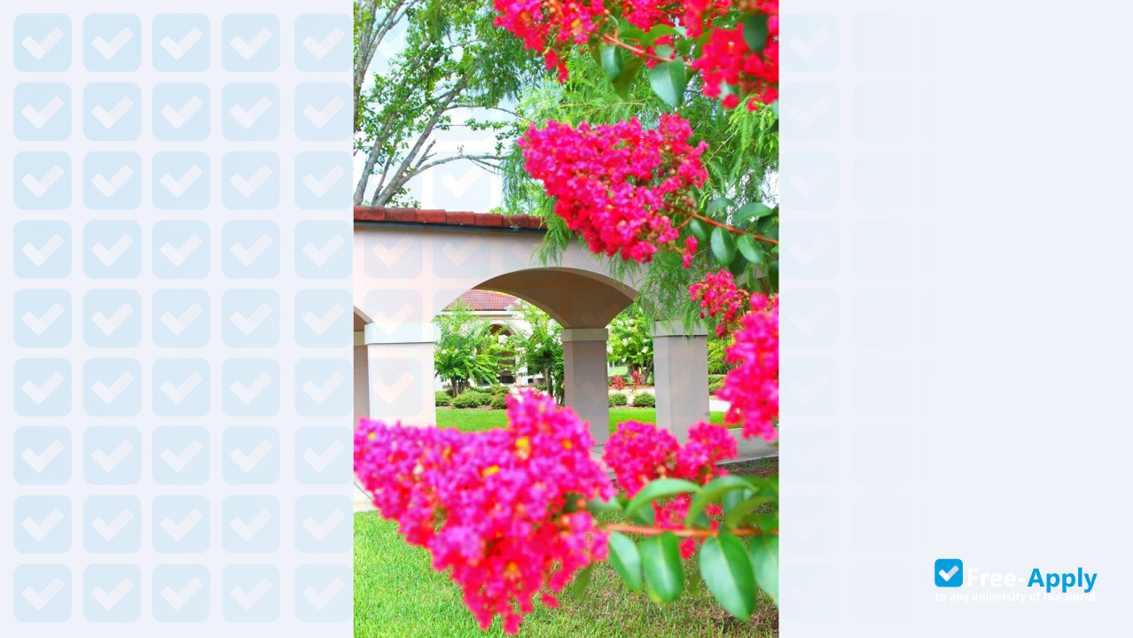 St. Johns River State College photo #7