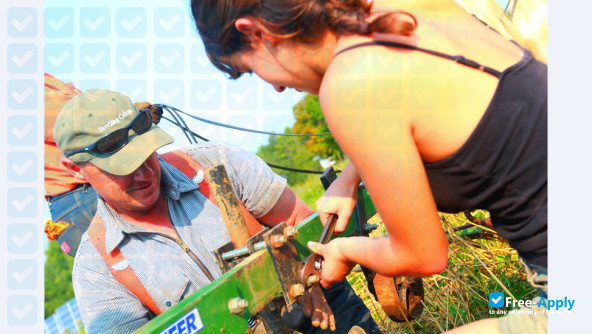 Sterling College Vermont photo #24