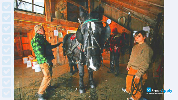 Foto de la Sterling College Vermont