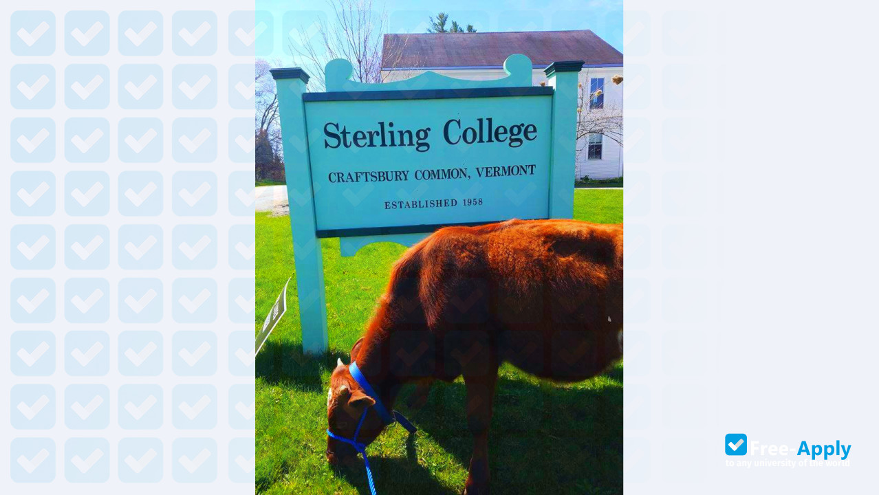 Sterling College Vermont photo #17