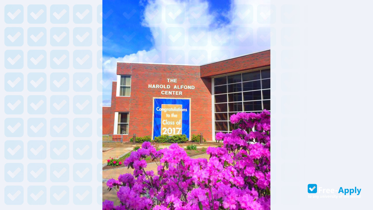 Saint Joseph's College of Maine photo #13