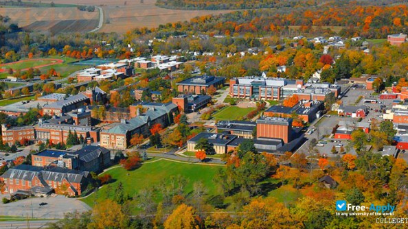 State University of New York Geneseo фотография №1
