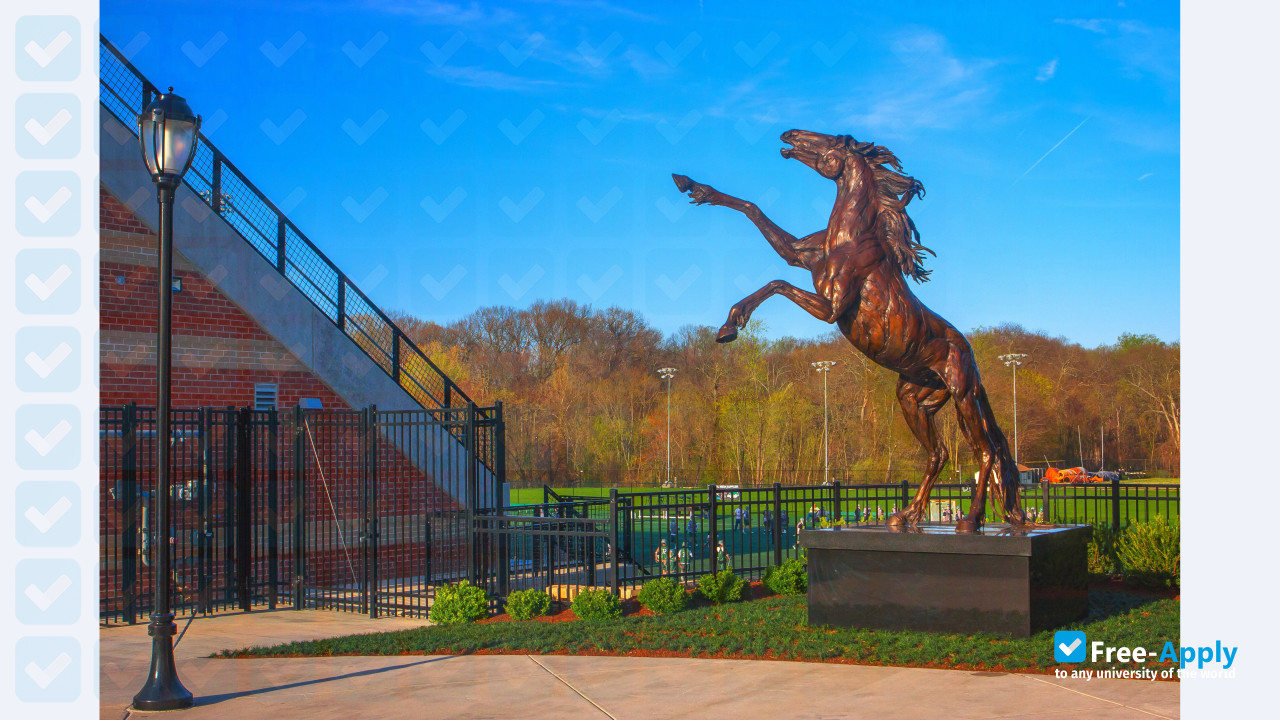 Stevenson University (Villa Julie College) photo #15