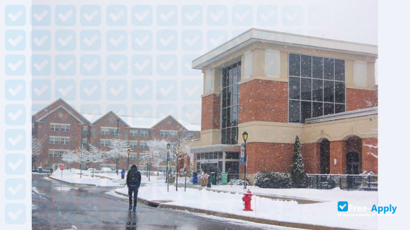 Stevenson University (Villa Julie College) photo #9