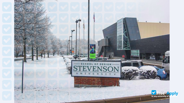 Stevenson University (Villa Julie College) photo #14