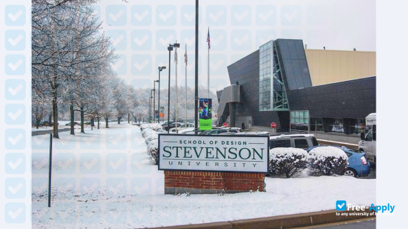 Stevenson University (Villa Julie College) фотография №12