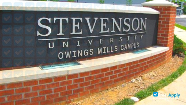 Stevenson University (Villa Julie College) фотография №20