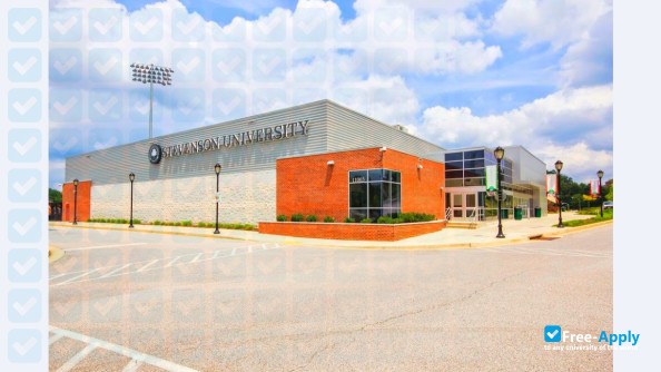 Stevenson University (Villa Julie College) photo #5