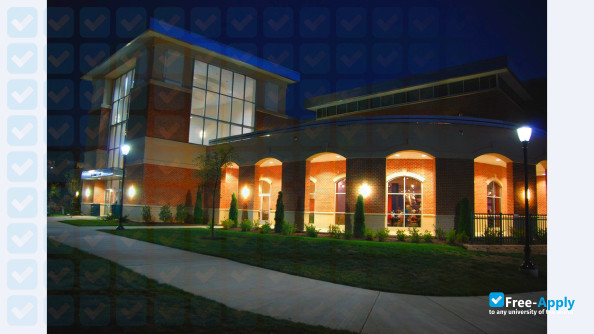 Stevenson University (Villa Julie College) photo #12