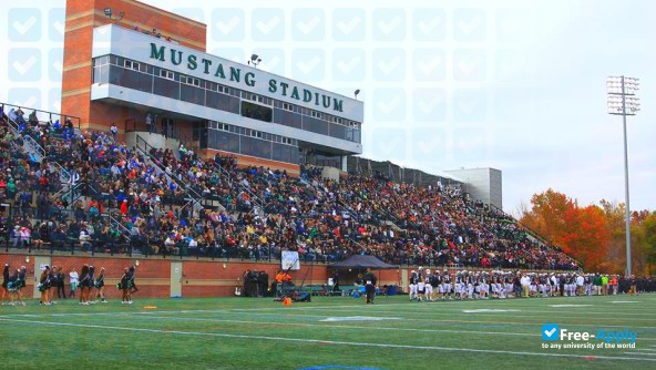 Stevenson University (Villa Julie College) photo #11