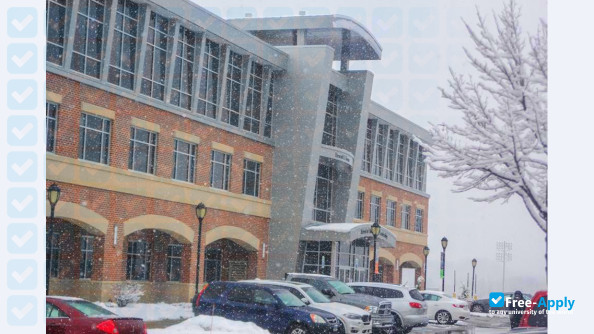 Stevenson University (Villa Julie College) photo #10