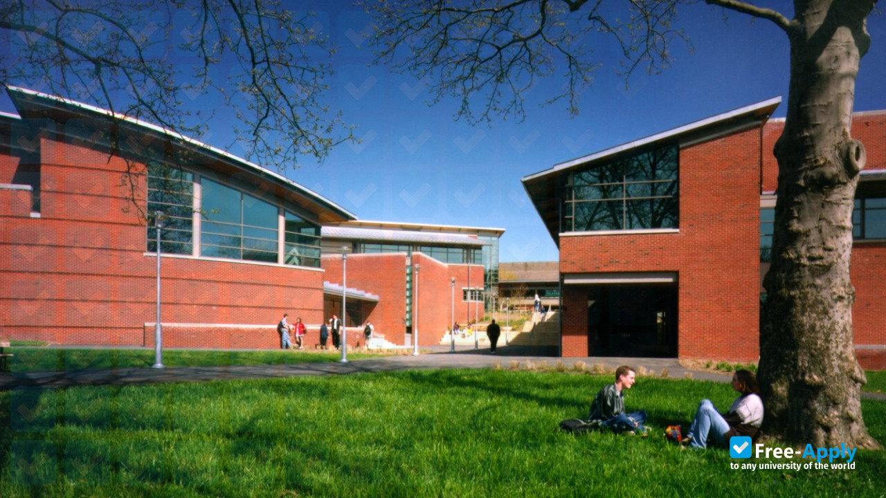 Stevenson University (Villa Julie College) photo #3