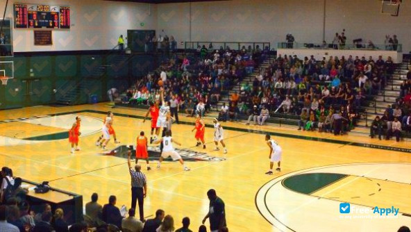 Stevenson University (Villa Julie College) photo #8