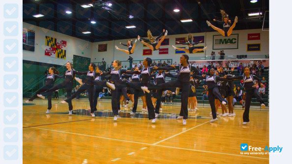 Stevenson University (Villa Julie College) photo #17