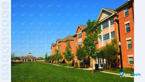 Stevenson University (Villa Julie College) photo #21