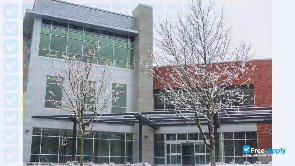 Stevenson University (Villa Julie College) photo #6