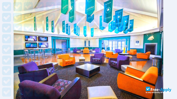 Stevenson University (Villa Julie College) photo #22