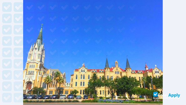Foto de la Our Lady of the Lake University #7