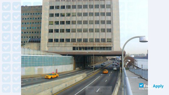 Foto de la Rockefeller University #4
