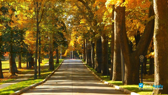 Saint Mary's College Notre Dame photo #9