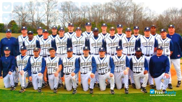 Foto de la Stillman College #6