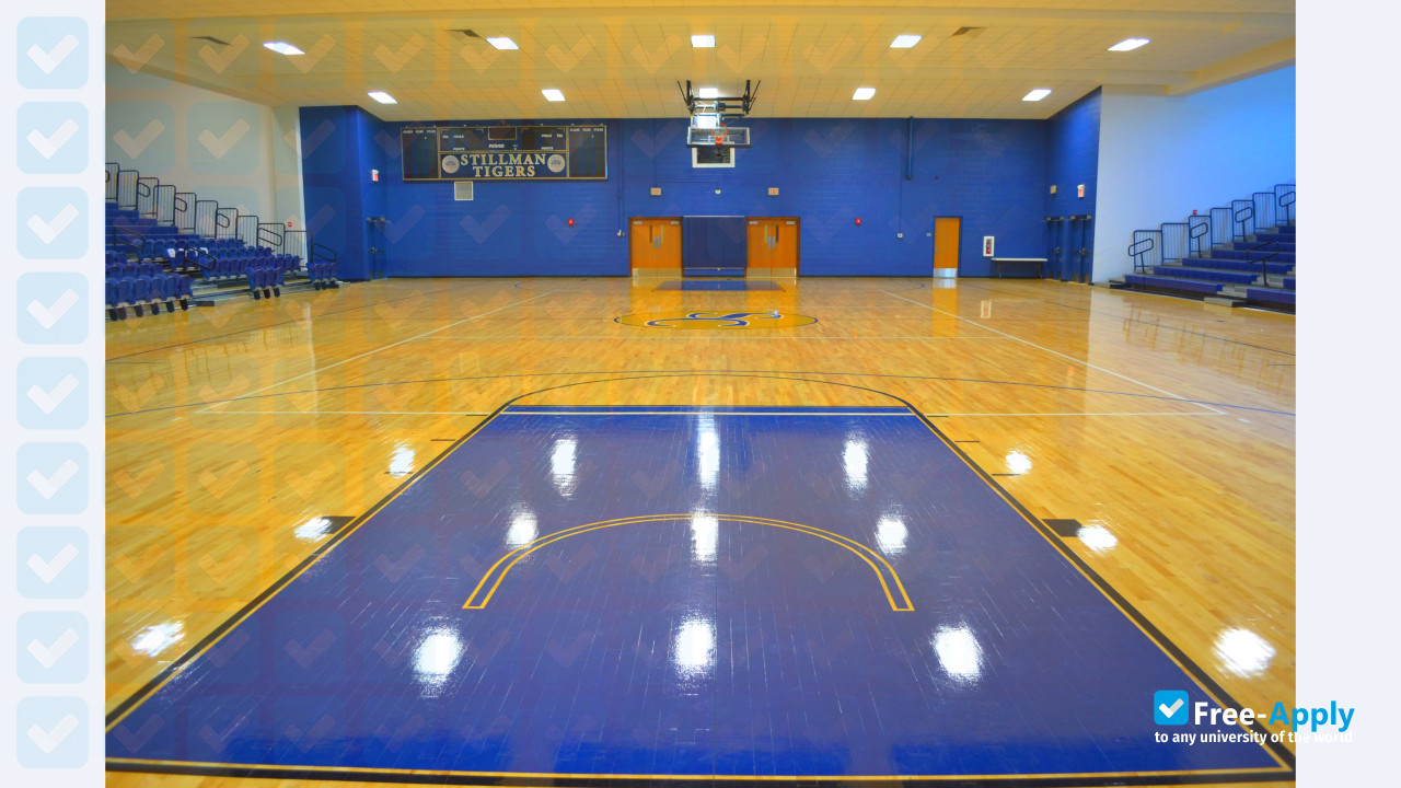 Stillman College photo #14