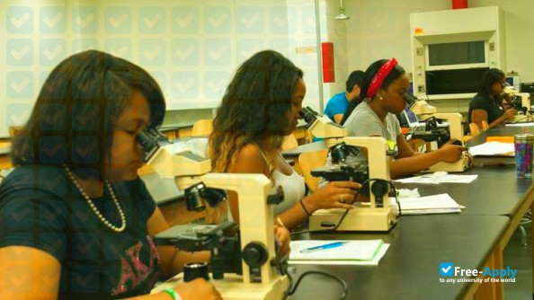 Foto de la Stillman College #8