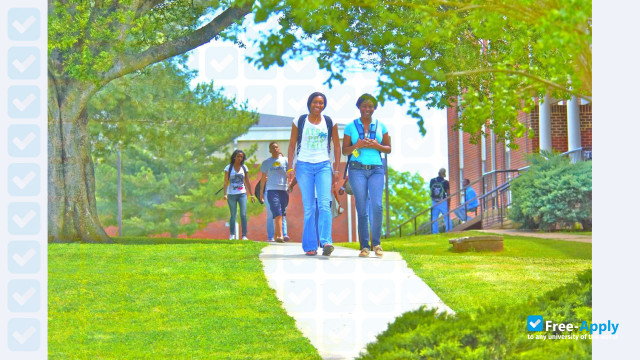 Foto de la Stillman College #1