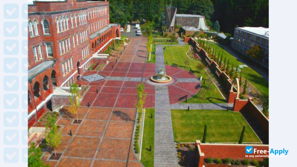 Saint Martin's University фотография №8
