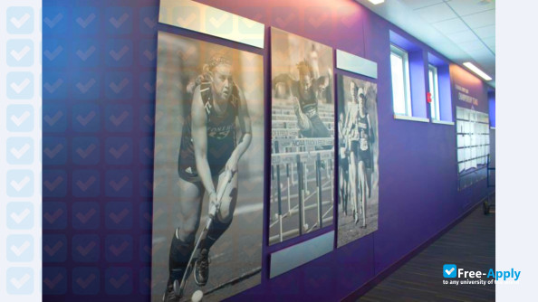 Stonehill College photo #3