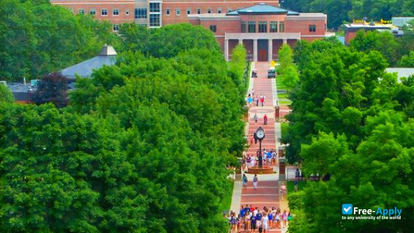 Stonehill College photo #6