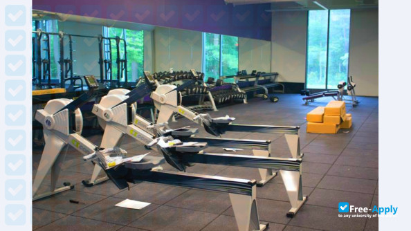 Stonehill College photo #10
