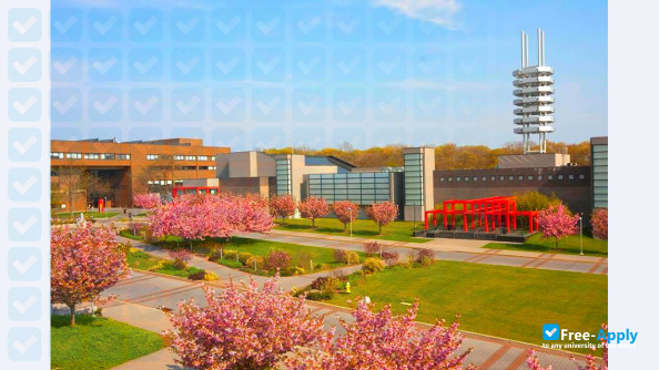 Stony Brook University фотография №7