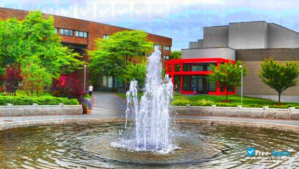 Stony Brook University фотография №12