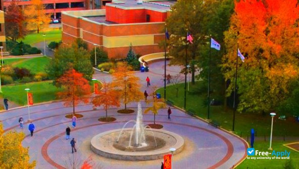 Stony Brook University фотография №5