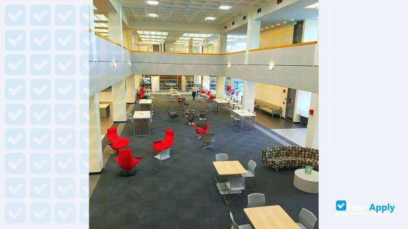 Stony Brook University фотография №17