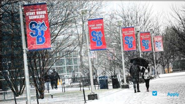 Stony Brook University фотография №26