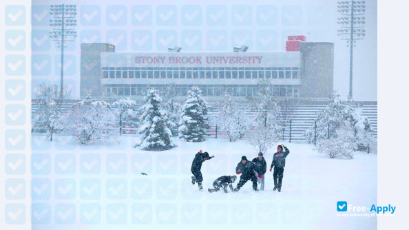 Stony Brook University фотография №20