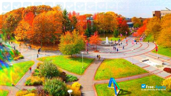 Stony Brook University фотография №16