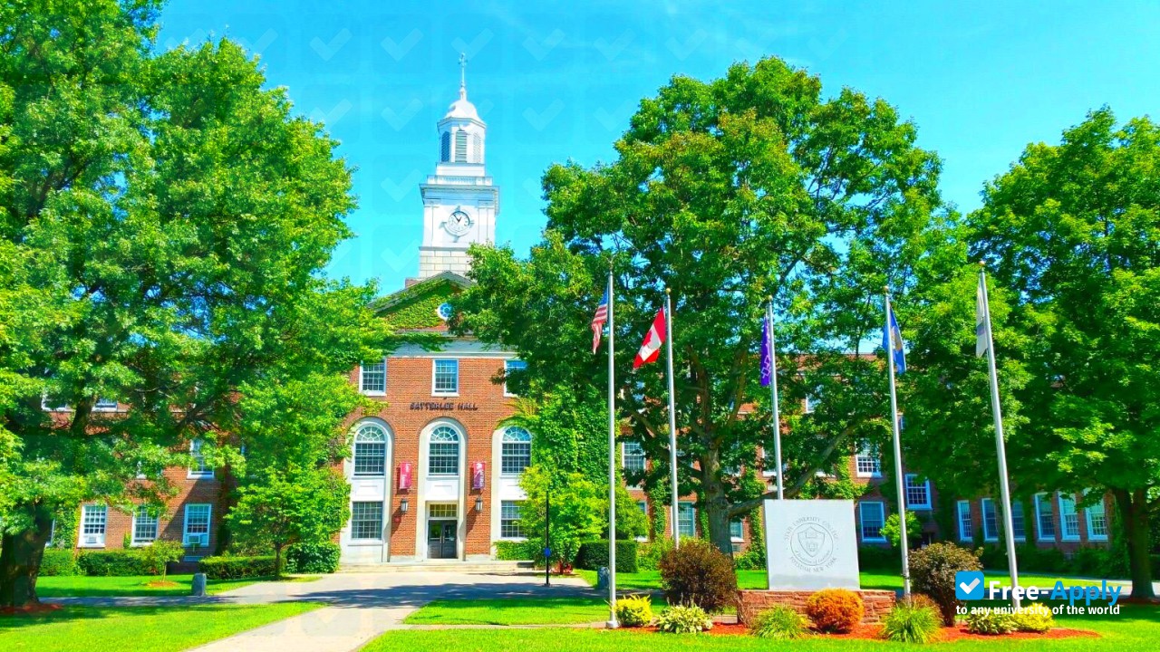 SUNY Potsdam фотография №10