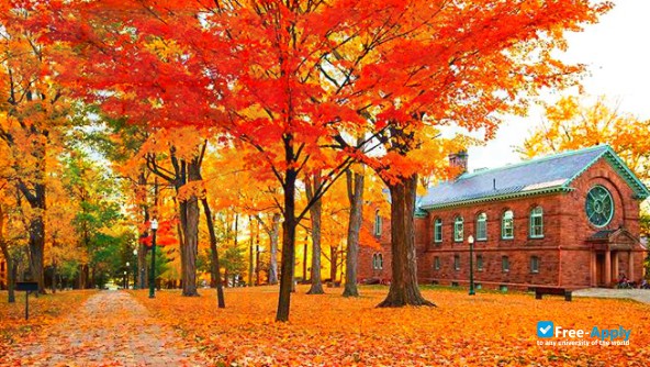 Foto de la St. Lawrence University #13